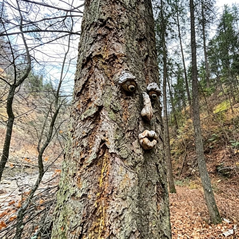 Funny Old Man Tree Face Sculpture – Whimsical Outdoor Garden Tree Decor
