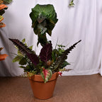 Piranha Plant Garden Statue – Whimsical Resin Fantasy Yard Decor