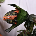 Piranha Plant Garden Statue – Whimsical Resin Fantasy Yard Decor