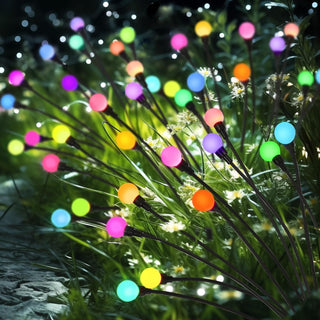 Lumière colorée