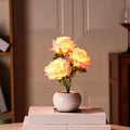 Rechargeable Rose Flower Night Light – Romantic LED Table Lamp with Ceramic Vase Decor