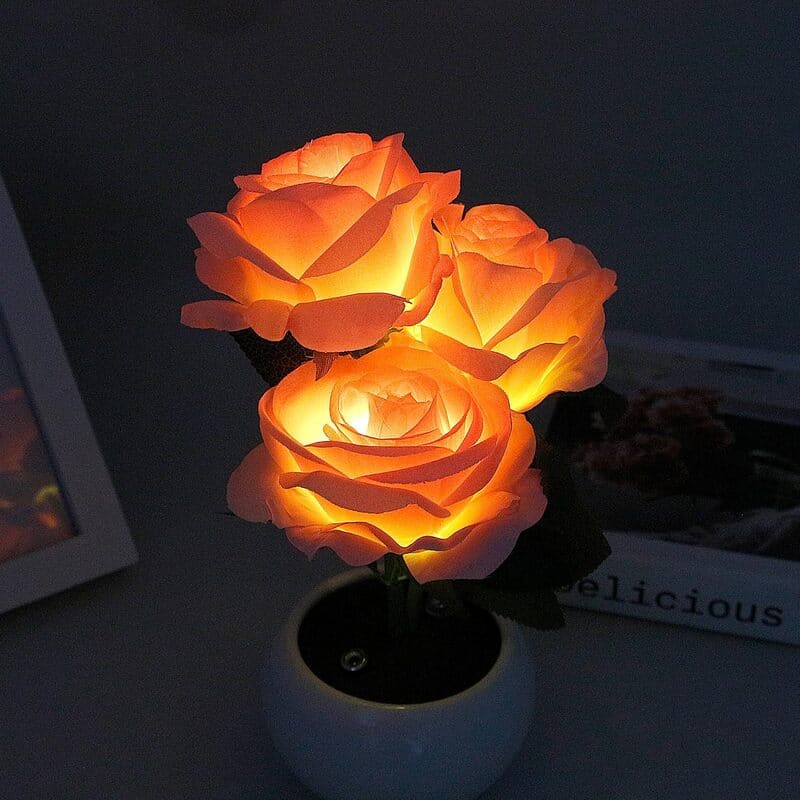 Rechargeable Rose Flower Night Light – Romantic LED Table Lamp with Ceramic Vase Decor