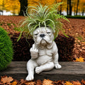 Freche französische Bulldoggen-Pflanzgefäß – Lustige Deko für Zimmer- und Gartenpflanzen