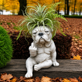 Cheeky French Bulldog Planter – Funny Indoor & Outdoor Plant Decor