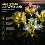 Solar LED Lily Flower Garden Lights, 7-Head Waterproof Outdoor Decor
