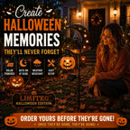 Piquet solaire lumineux Chat Noir Citrouille pour Halloween