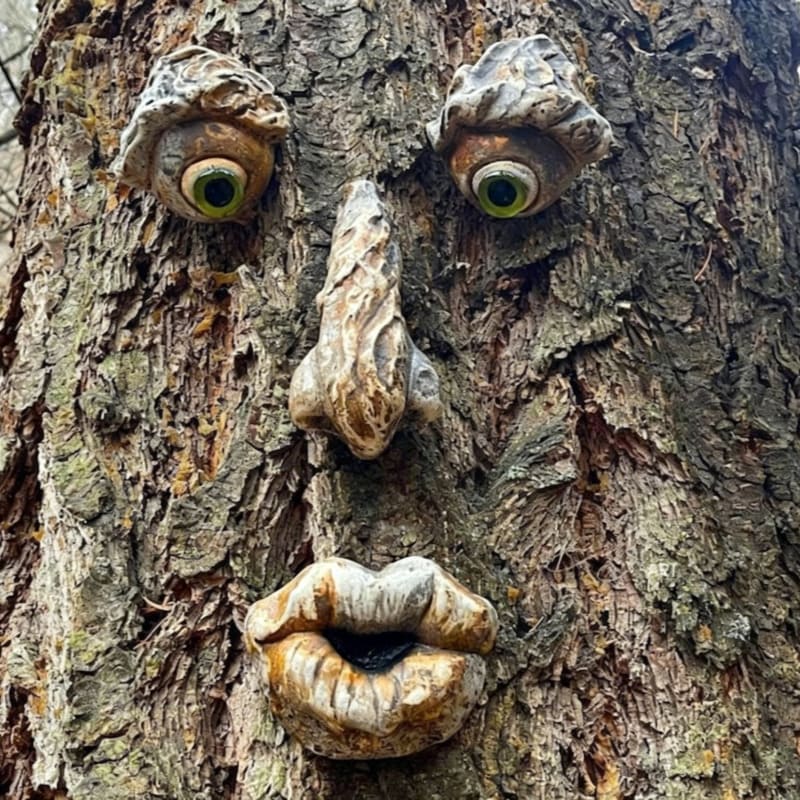 Funny Old Man Tree Face Sculpture – Whimsical Outdoor Garden Tree Decor