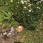 Spooky Garden Skull Decor – Rustic Outdoor Halloween Lawn Ornament