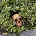 Spooky Garden Skull Decor – Rustic Outdoor Halloween Lawn Ornament
