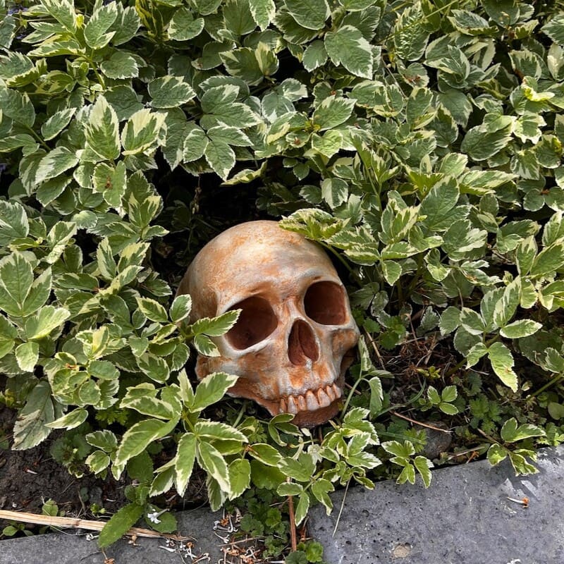 Spooky Garden Skull Decor – Rustic Outdoor Halloween Lawn Ornament