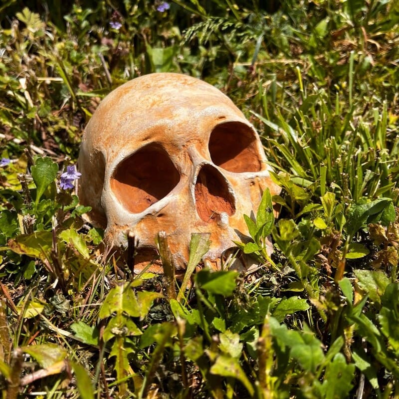 Spooky Garden Skull Decor – Rustic Outdoor Halloween Lawn Ornament