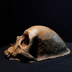 Spooky Garden Skull Decor – Rustic Outdoor Halloween Lawn Ornament