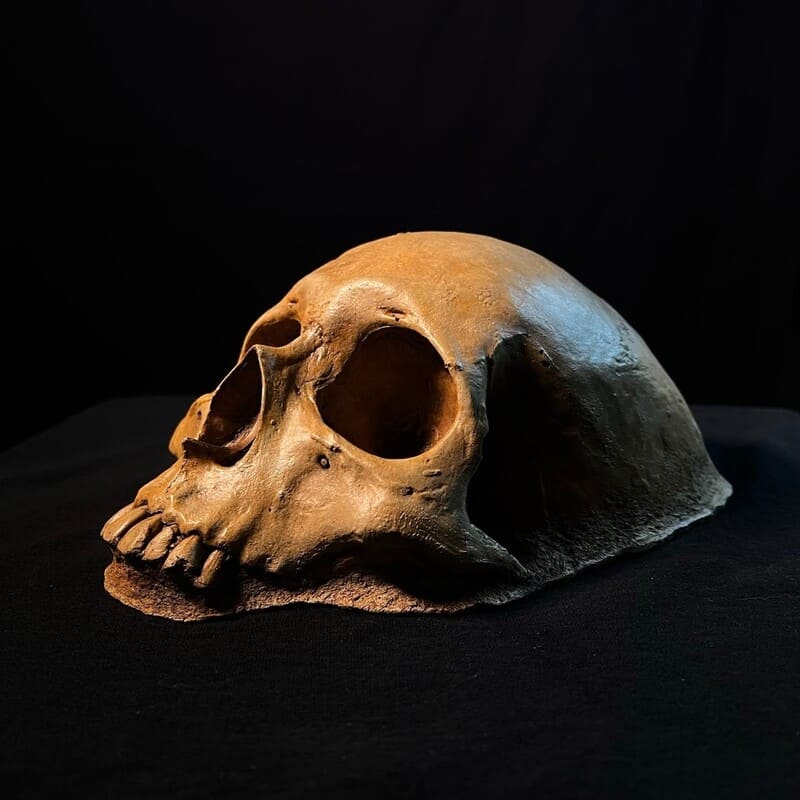 Spooky Garden Skull Decor – Rustic Outdoor Halloween Lawn Ornament