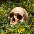 Spooky Garden Skull Decor – Rustic Outdoor Halloween Lawn Ornament