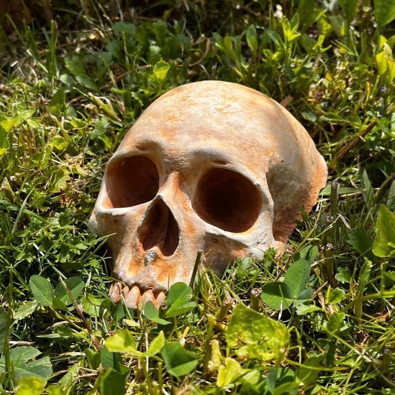 Spooky Garden Skull Decor – Rustic Outdoor Halloween Lawn Ornament