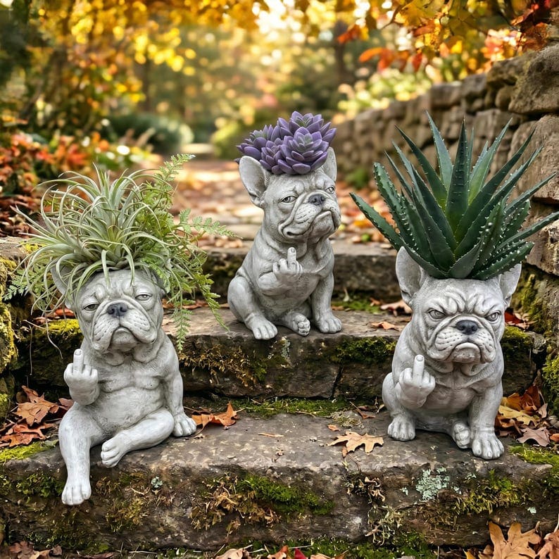 Pot de fleurs Bouledogue Français pour plantes succulentes et petites plantes