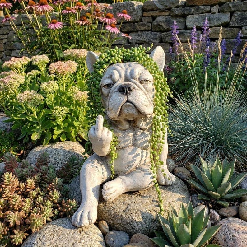 Pot de fleurs Bouledogue Français pour plantes succulentes et petites plantes