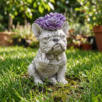 Freche französische Bulldoggen-Pflanzgefäß – Lustige Deko für Zimmer- und Gartenpflanzen