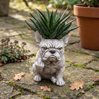 Freche französische Bulldoggen-Pflanzgefäß – Lustige Deko für Zimmer- und Gartenpflanzen