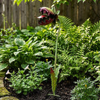 Whimsical Metal Venus Flytrap Garden Stake – Single Head Fantasy Outdoor Plant Decor