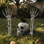 Halloween Skeleton Lawn Stakes – Realistic Skull & Crawling Hand Graveyard Decor