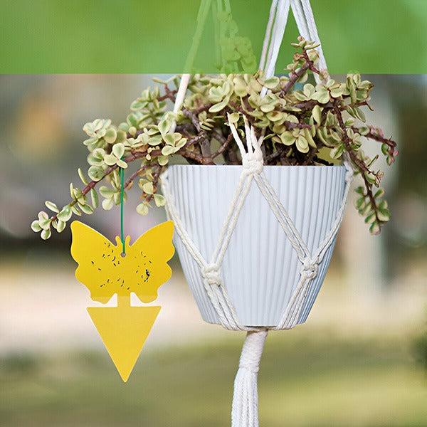 Double-Sided Yellow Insect Traps (Buy 10 PCS, Get 10 PCS Free — Total 20 PCS)