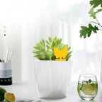 Double-Sided Yellow Insect Traps (Buy 10 PCS, Get 10 PCS Free — Total 20 PCS)