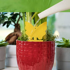 Double-Sided Yellow Insect Traps (Buy 10 PCS, Get 10 PCS Free — Total 20 PCS)