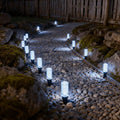 Solar Bubble Garden Stake Lights With Color-Changing LEDs