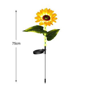 Tournesol unique